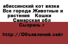 абиссинский кот вязка - Все города Животные и растения » Кошки   . Самарская обл.,Сызрань г.